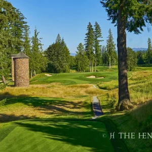 Aldarra Golf Club's deep 15th fairway stretching through a sea of trees.