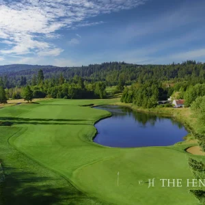 An elegantly hazardous pond nestled against the green at Aldarra's hole 1.